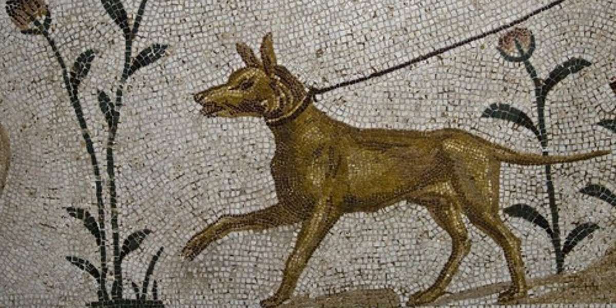 image for 9 Touching Epitaphs Ancient Greeks And Romans Wrote For Their Deceased Dogs