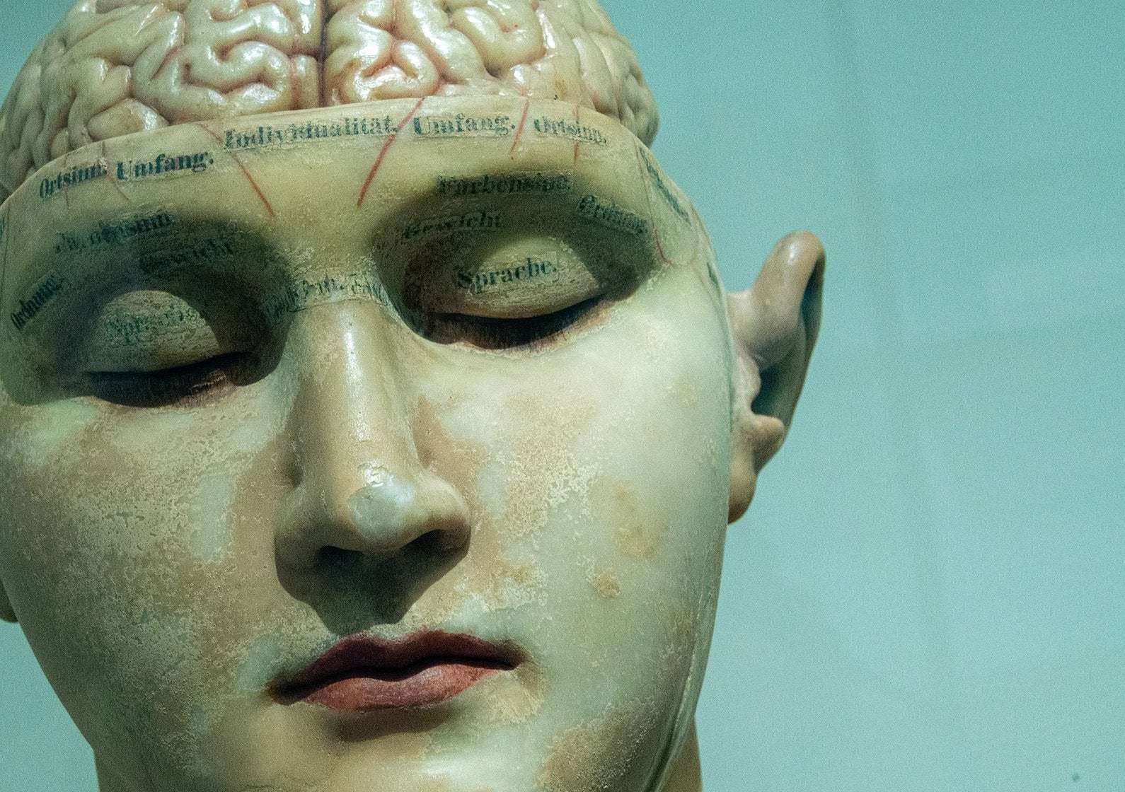 image for Being 'mind-blind' may make remembering, dreaming and imagining harder, study finds