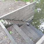 image for My local canal has a little staircase for the ducks to get in and out of the water