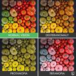 image for Different forms of Color blindness