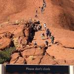 image for Don't Climb The Rock