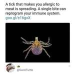 image for Thanks, I hate anti-meat ticks