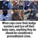 image for When cops cover their badge numbers...
