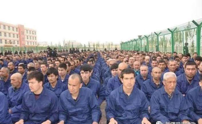 image for Global brands employ Uyghur Muslims as ‘forced labour’