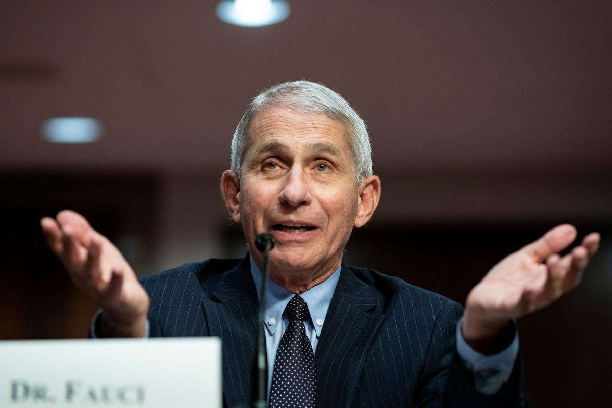 image for Fauci calls White House criticism of him bizarre, says 'let's stop this nonsense' and fight coronavirus