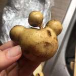 image for My boyfriend’s homegrown potato looks like the Reddit icon!