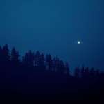 image for I took a picture of Jupiter (with moons) rising over the mountain forest