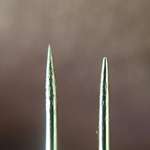image for New sewing needle vs sewing needle after for months of sewing