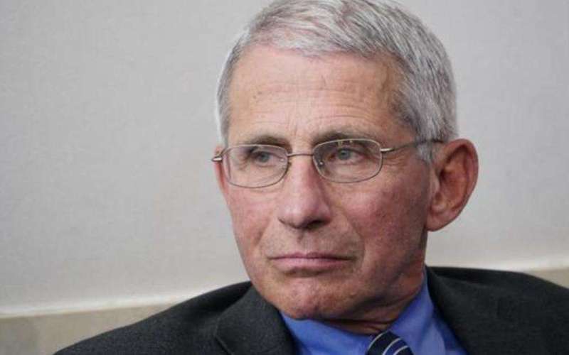 image for Fauci says "serious threats" have been made against him and his wife and daughters
