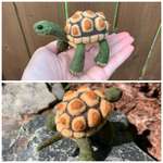 image for I needle felted a tortoise out of wool and I think he turned out pretty charming