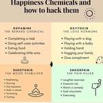 image for Activities that make your brain release happy chemicals