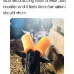 image for Bad goats get the restraint noodles