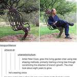 image for From tree to chair