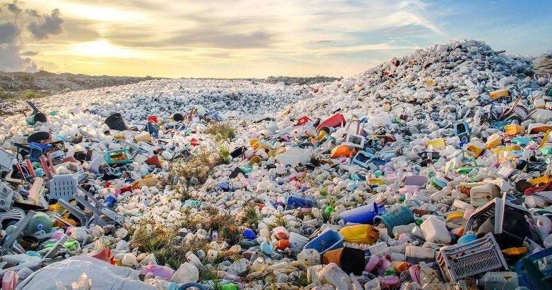 image for Germany to ban single-use plastics by 2021