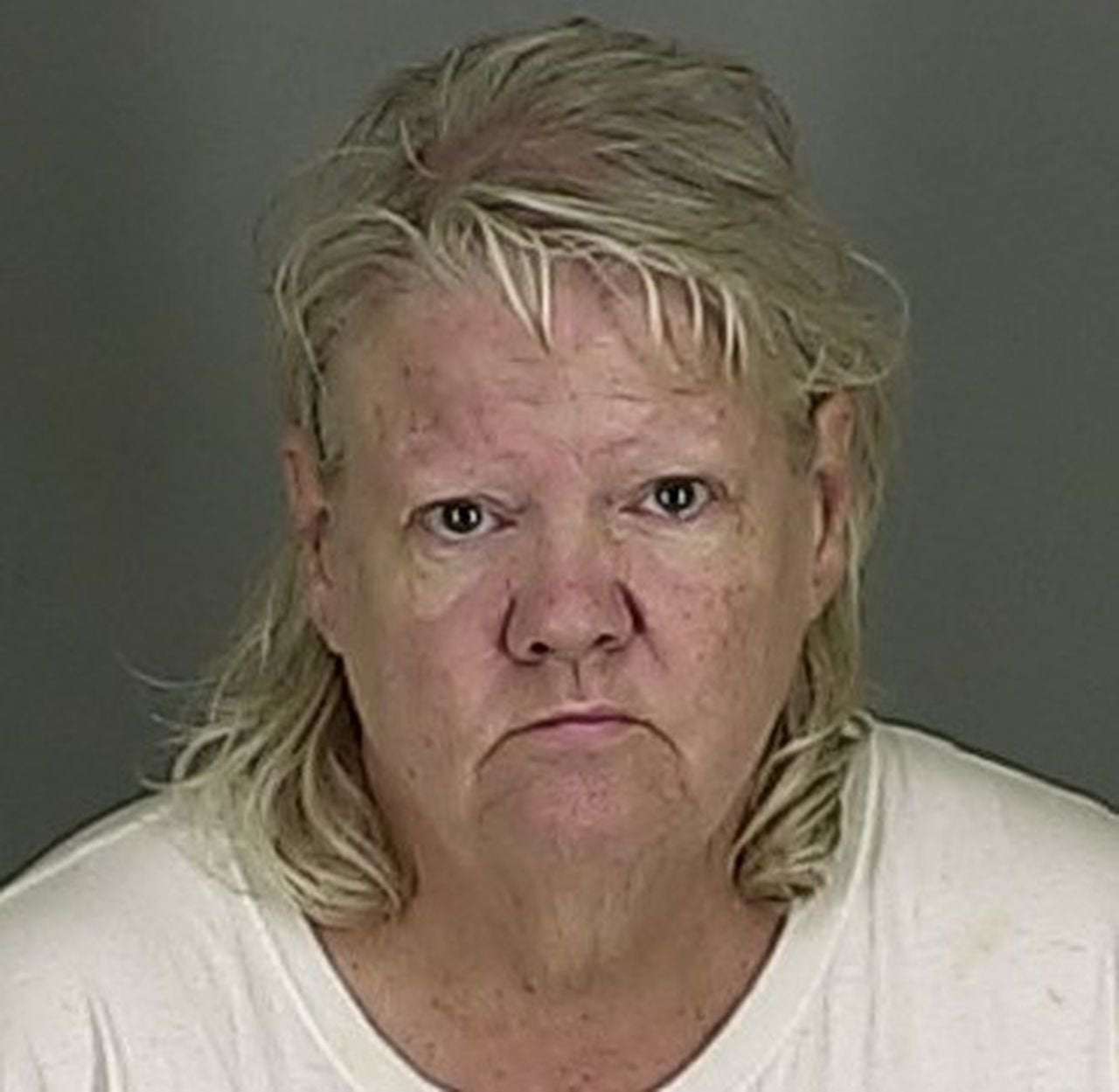 image for Woman gets prison sentence for having dogs attack Akron grocery store worker