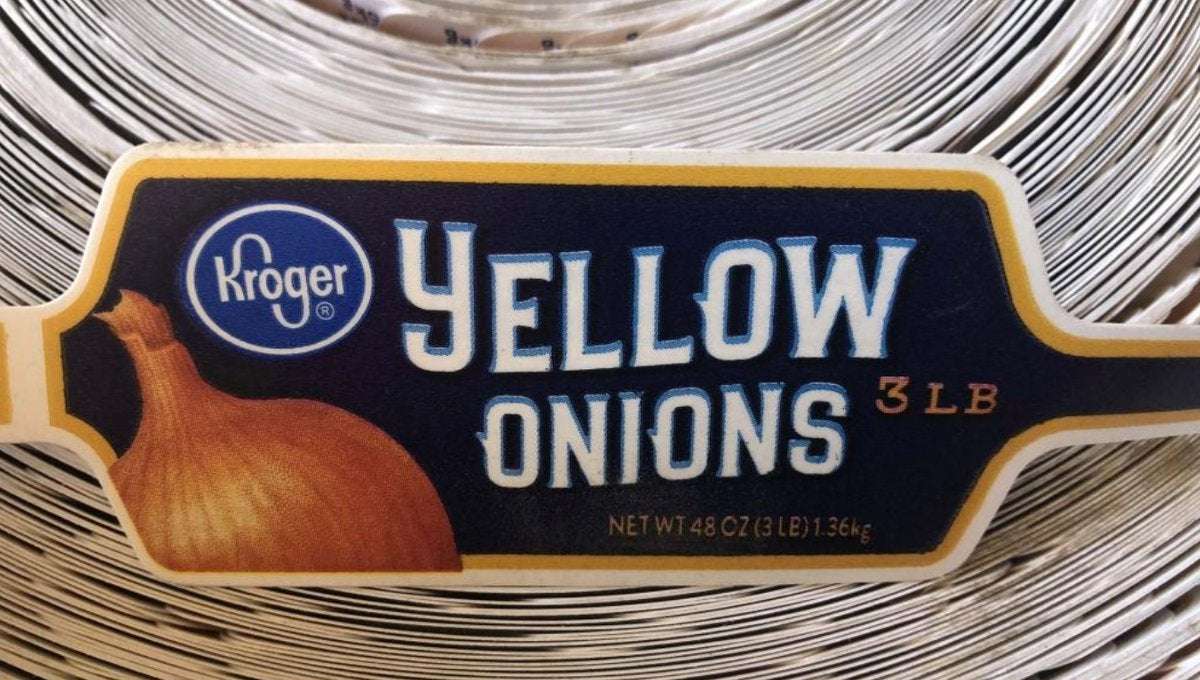 image for Thomson recalls all onions from the entire U.S. because of link to Salmonella Newport outbreak
