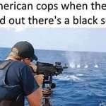 image for American Cops Discover The Black Sea