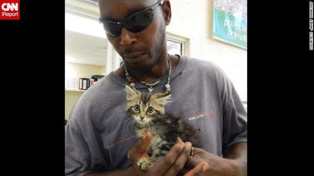 image for Florida man cuts open truck to save kitten