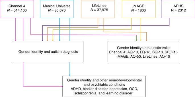image for Elevated rates of autism, other neurodevelopmental and psychiatric diagnoses, and autistic traits in transgender and gender-diverse individuals