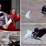 image for When a crow attacks pope Francis's peace dove