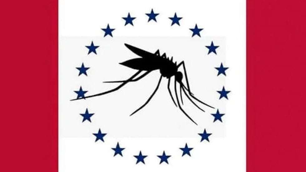 image for Mississippi blames 'typo' for including huge mosquito among new state flag designs