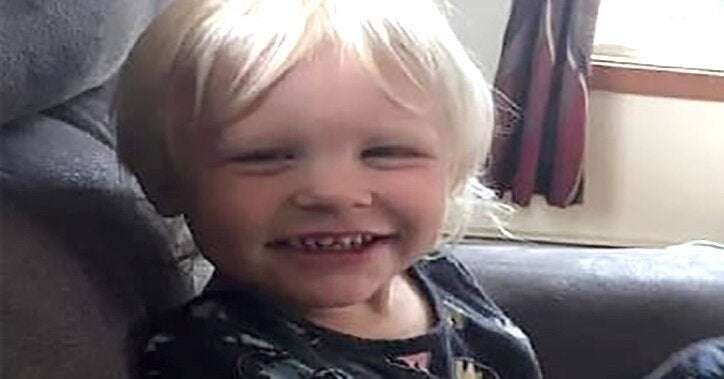 image for Missing Toddler Found Safe With Cocker Spaniel Mix After Spending 24 Hours Lost in the Woods