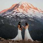 image for Married my best friend at Mt. Rainier yesterday
