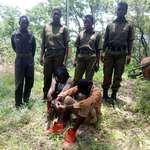 image for Poachers caught red-handed by an all-female unit of rangers in Zimbabwe