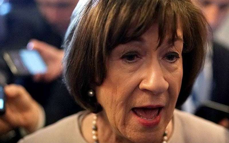 image for Susan Collins helped cripple the USPS: Now Maine farmers are getting dead baby chicks in the mail