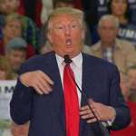image for The 45th president of the United States of America mocking a disabled reporter (2015)