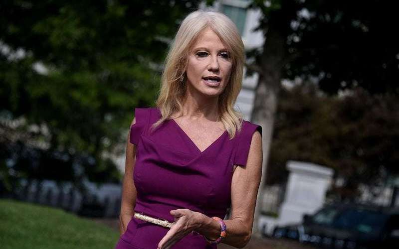 image for Don't cry for Kellyanne Conway: Like the whole corrupt Trump enterprise, she must pay
