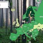 image for European countries by forest cover