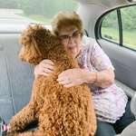image for My dog gets really anxious in the car, so my grandma asked to sit in the back with him. The whole car ride all I heard was “it’s okay, we’re almost there brave boy”