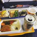 image for Economy class meal on Japanese Airline