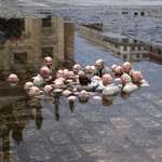 image for This sculpture by Issac Cordal in Berlin is called ‟Politicians discussing global warming.”