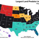 image for [OC] Largest Land Predator (by weight) in Each State