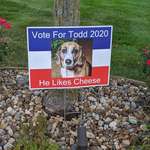 image for My wife and I put up our own candidate this year!