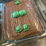image for Not exactly how I envisioned my Shrek themed birthday cake...