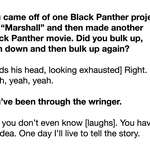 image for Excerpt from Matt Jacobs' interview with Chadwick Boseman, 2017
