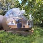 image for I spent a night in a bubble in a forest