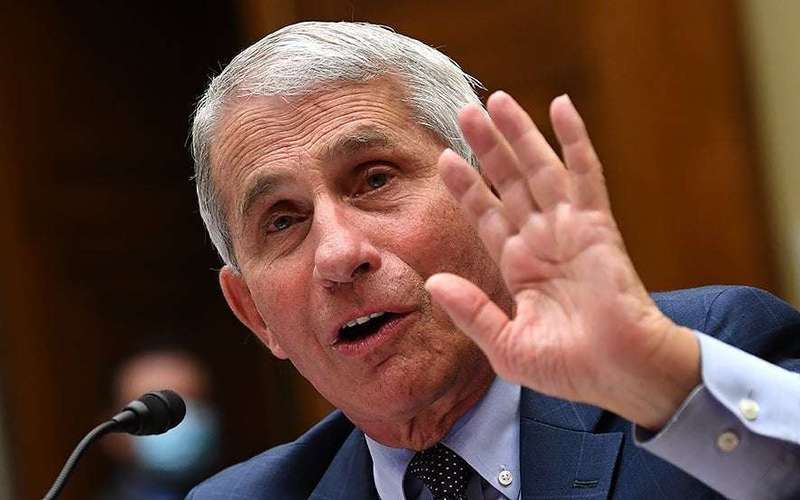 image for Fauci warns US needs to 'hunker down' for fall, winter: 'It's not going to be easy'
