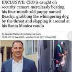 image for CEO abuses 4 month old puppy and is caught on security camera