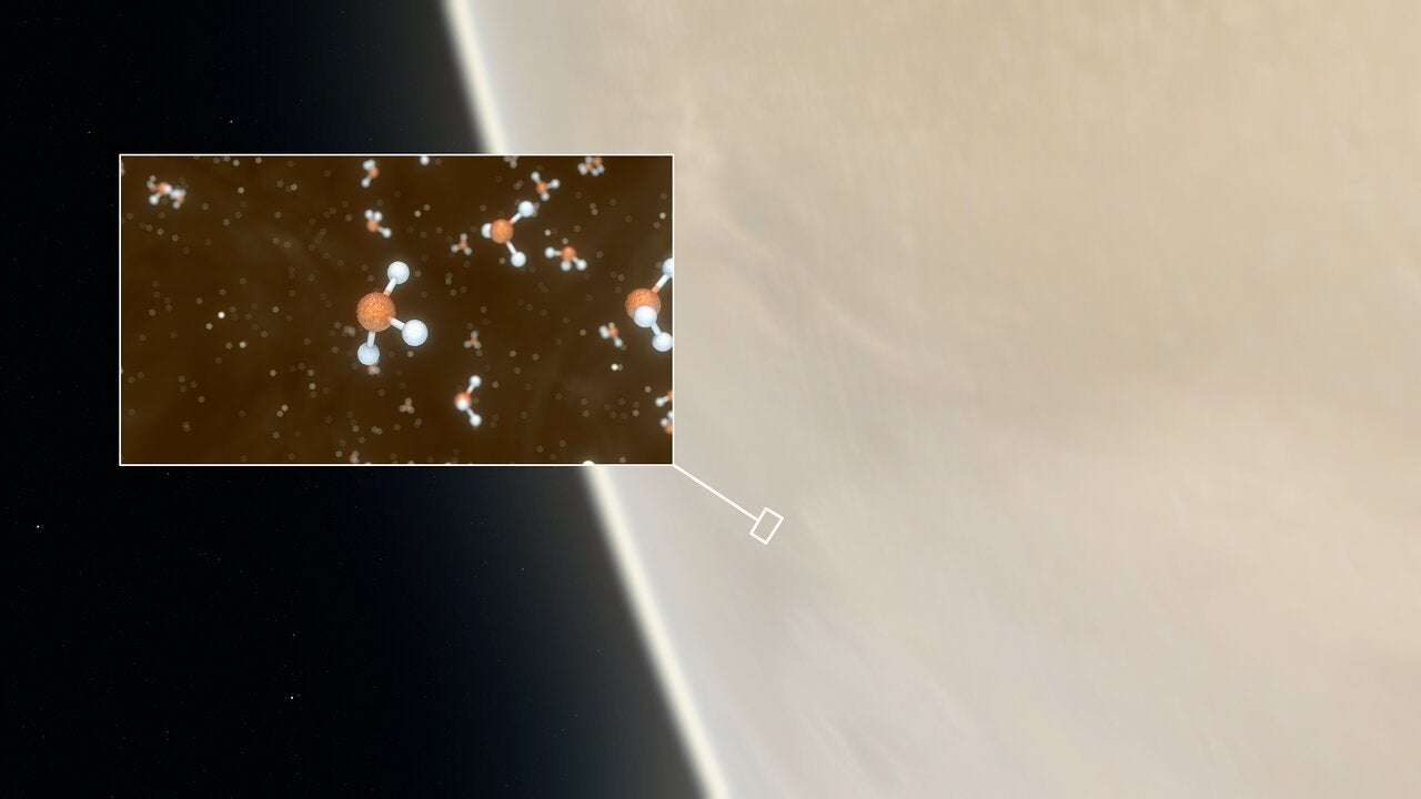 image for Possible Marker of Life Spotted on Venus