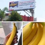 image for Posted a photo of my perfect bananas here a few months ago, now it’s on a billboard in LA