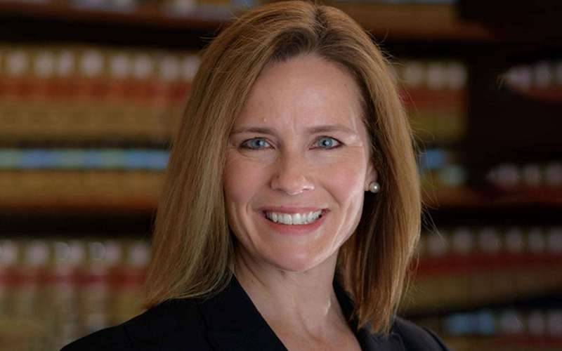 image for Trump Supreme Court front-runner Amy Coney Barrett criticized Roe v. Wade, Obamacare decision