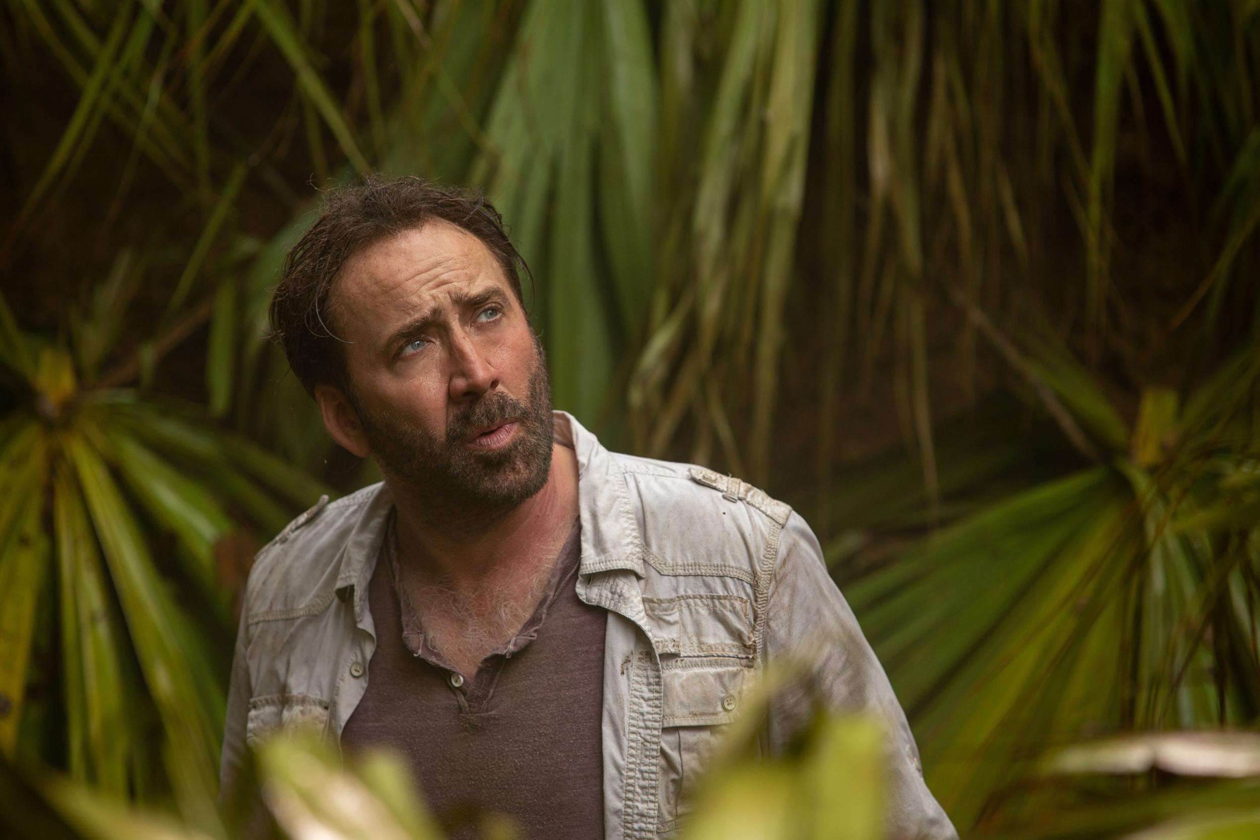 image for Nicolas Cage: From Hollywood A-lister to king of the B-movies