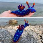 image for I made a sea slug out of wool and I think he came out pretty delightful