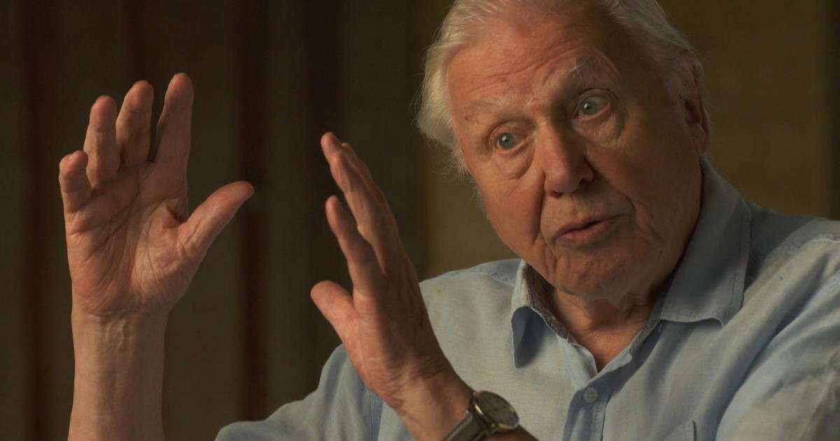 image for Sir David Attenborough to 60 Minutes on climate change: "A crime has been committed"