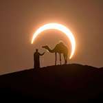image for Perfectly Timed Photo Frames a Solar Eclipse Around a Man Leading a Camel in the Desert