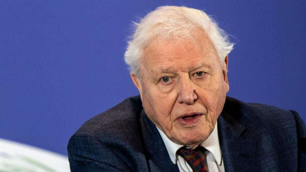 image for David Attenborough calls for global $500 billion a year investment in nature